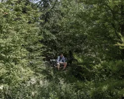 The City Forest of Copenhagen