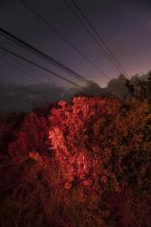 Reflections of an Invader